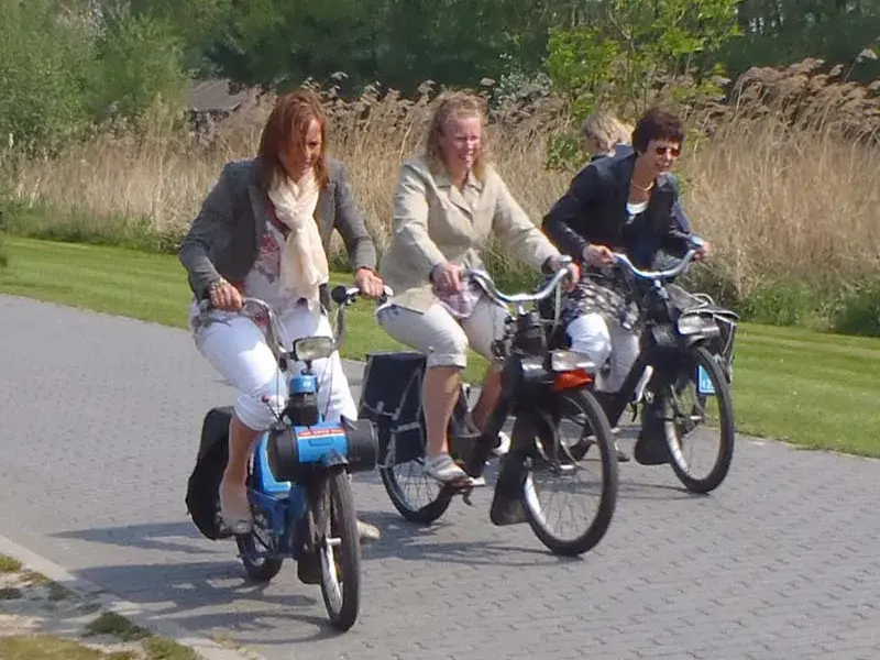 Moped